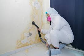 Best Post-Construction Mold Inspection  in Danvle, IL